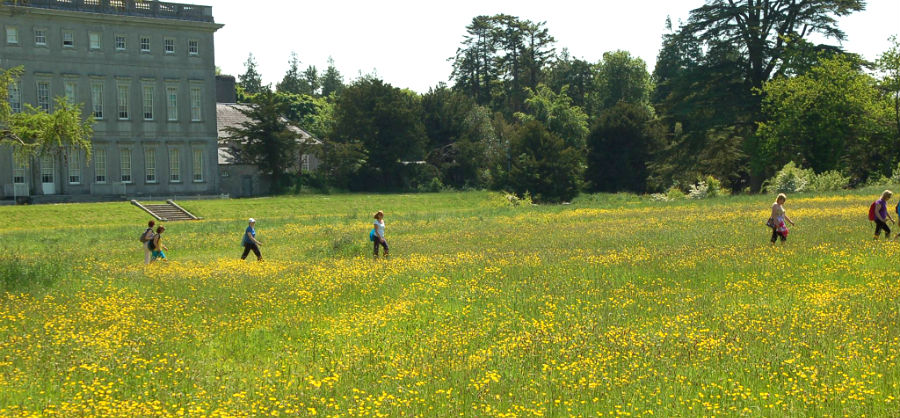 Castletown Parklands