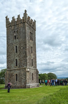 Carton House Tower