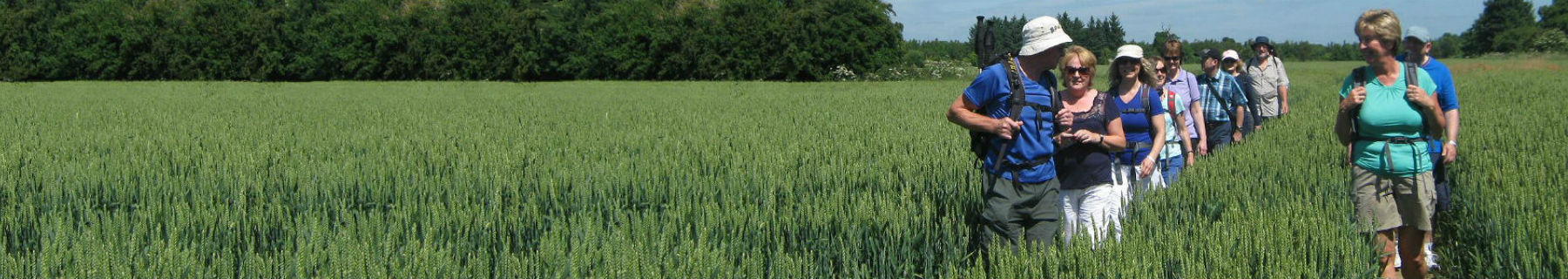 People walking in field